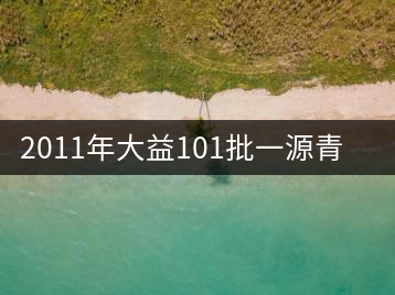 2011年大益101批一源青餅評鑒