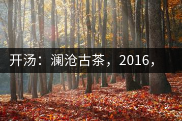開湯：瀾滄古茶，2016，小青柑