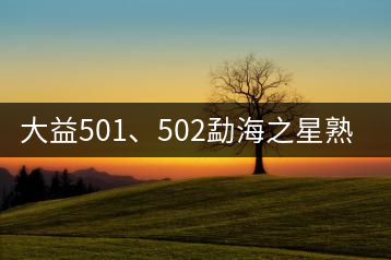大益501、502勐海之星熟茶