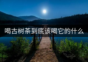 喝古樹茶到底該喝它的什么？