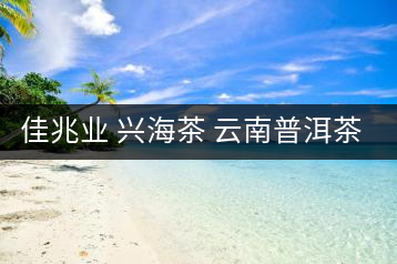 佳兆業(yè) 興海茶 云南普洱茶熟茶古樹小沱茶勐海茶葉小粒裝60g