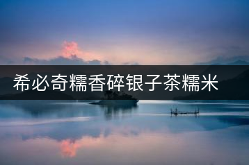 希必奇糯香碎銀子茶糯米香散茶化石老茶頭糯香普洱熟茶葉尊紅禮盒