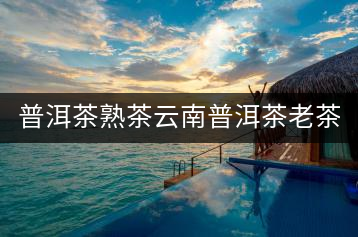 普洱茶熟茶云南普洱茶老茶坨原味沱茶勐海熟茶干倉陳普洱茶葉500g