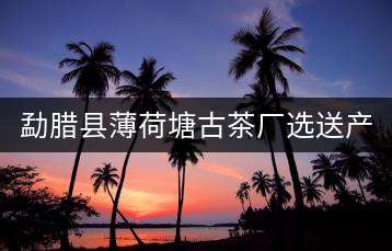 勐臘縣薄荷塘古茶廠選送產(chǎn)品榮獲2022年中港普洱茶博覽會金獎