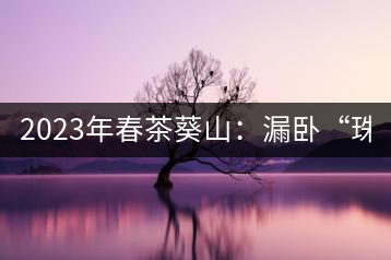 2023年春茶葵山：漏臥“珠江紅：1200元-3200元（有3個(gè)檔次）漏臥“大廠茶”：古樹(shù)單株8600-9000元／公斤，中樹(shù)4800-5200元／公斤，小樹(shù)混采2600-2800元／公斤。