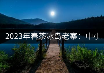 2023年春茶冰島老寨：中小樹(shù)混采2500-3000元／公斤，大樹(shù)：7000-8000元／公斤，古樹(shù)混采：28000-36000元／公斤