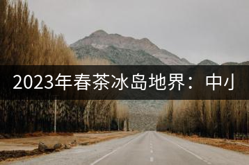 2023年春茶冰島地界：中小樹1300-1500元／公斤，古樹2200~2500元／公斤