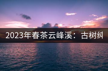 2023年春茶云峰溪：古樹純料：1200-1500元／公斤，古樹混采800-1000元／公斤，大樹500-800元／公斤，小樹300-500元／公斤