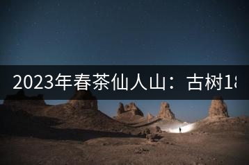 2023年春茶仙人山：古樹1800-2500元／公斤，老曼峨：小樹：600元／公斤 1600-1800元／公斤