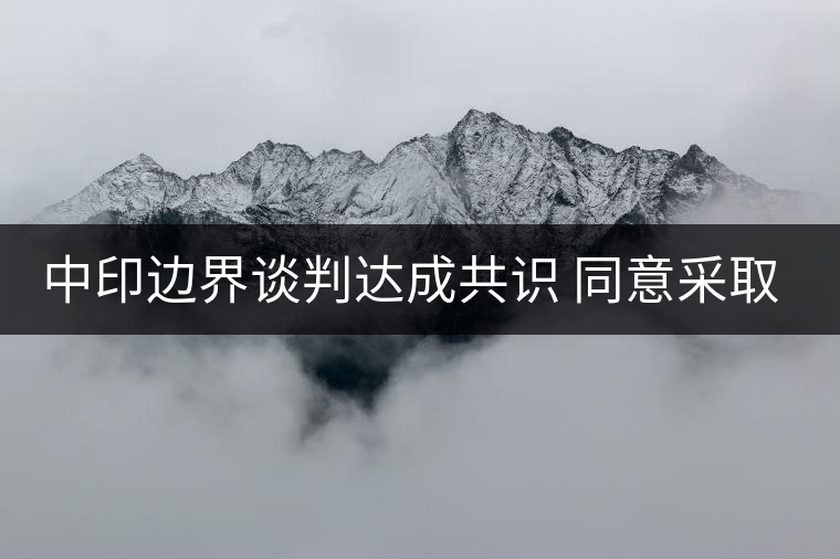 中印邊界談判達(dá)成共識(shí) 同意采取措施避免沖突 中印邊界談判達(dá)成共識(shí) 同意采取措施避免沖突