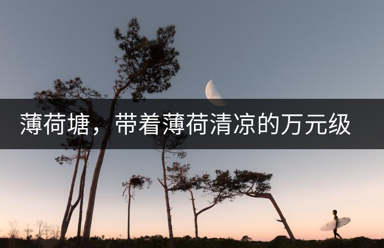 薄荷塘，帶著薄荷清涼的萬(wàn)元級(jí)普洱