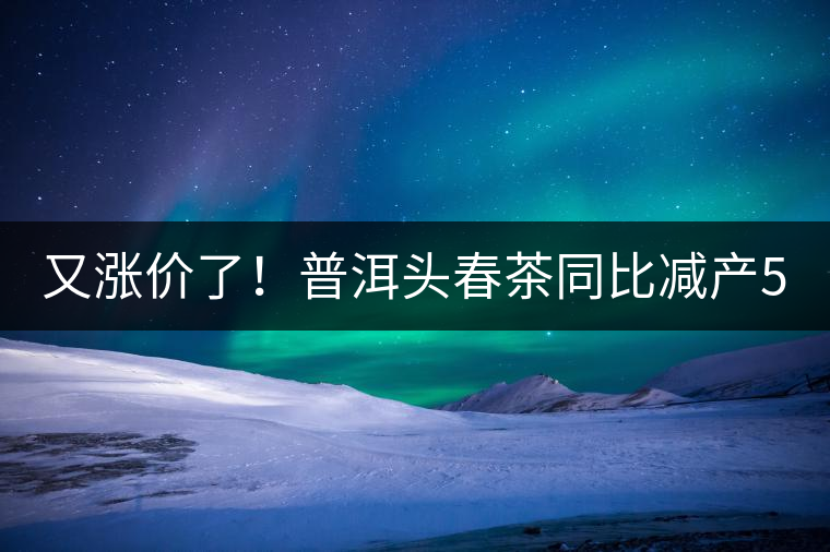 又漲價(jià)了！普洱頭春茶同比減產(chǎn)50%，薄荷塘一類鮮葉需當(dāng)面議價(jià)