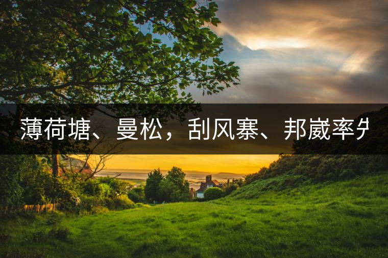 薄荷塘、曼松，刮風寨、邦崴率先開采，2019普洱春季大戰(zhàn)開始了