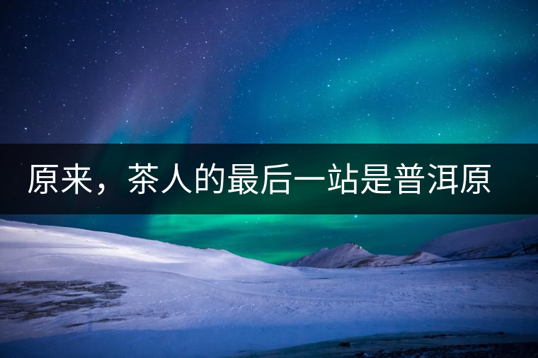 原來，茶人的最后一站是普洱原來，茶人的最后一站是普洱