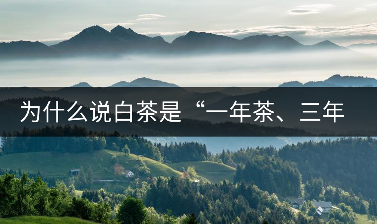 為什么說白茶是“一年茶、三年藥、七年寶”?為什么說白茶是“一年茶、三年藥、七年寶”？