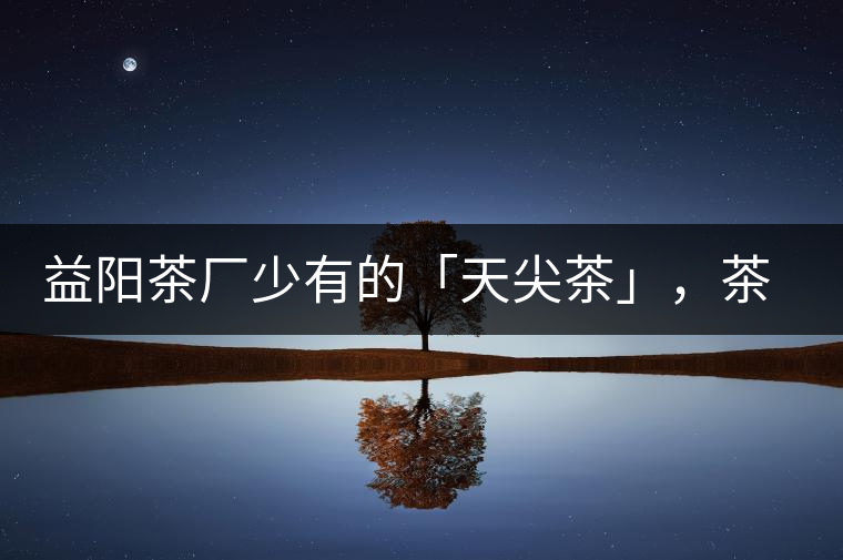 益陽茶廠少有的「天尖茶」，茶品升級，收藏趁早！