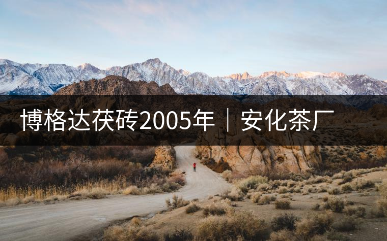 博格達茯磚2005年｜安化茶廠定制款，金花滿披，梅山韻濃！