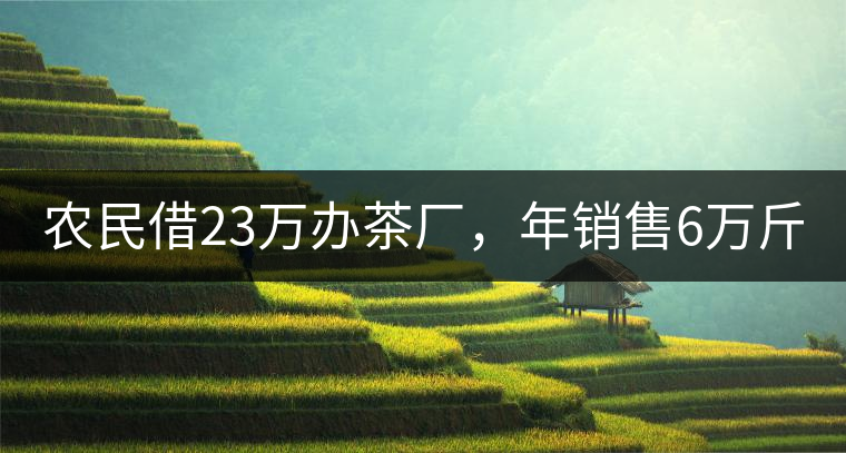 農(nóng)民借23萬辦茶廠，年銷售6萬斤，每天休息僅20分鐘!農(nóng)民借23萬辦茶廠，年銷售6萬斤，每天休息僅20分鐘！
