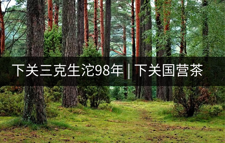下關(guān)三克生沱98年 | 下關(guān)國(guó)營(yíng)茶廠(chǎng)出口料，干倉(cāng)儲(chǔ)存，...下關(guān)三克生沱98年 | 下關(guān)國(guó)營(yíng)茶廠(chǎng)出口料，干倉(cāng)儲(chǔ)存，19年老茶！