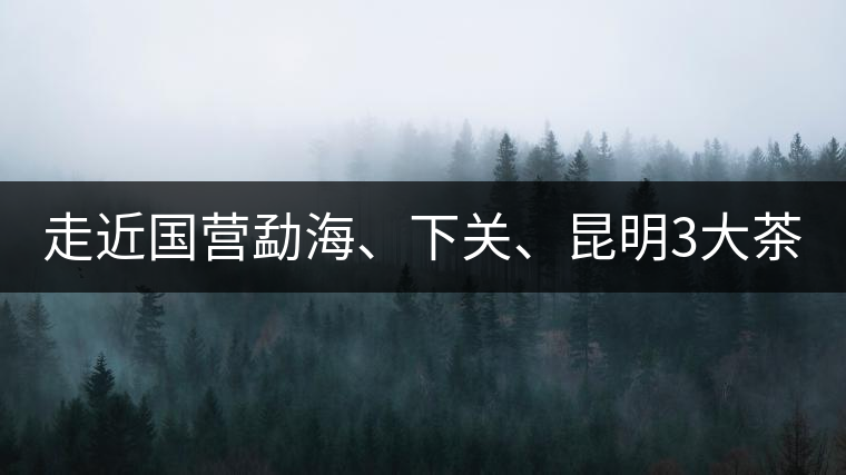 走近國(guó)營(yíng)勐海、下關(guān)、昆明3大茶廠，傳世代表作的發(fā)展詳...走近國(guó)營(yíng)勐海、下關(guān)、昆明3大茶廠，傳世代表作的發(fā)展詳解