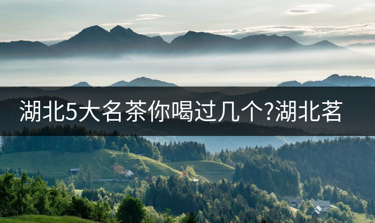 湖北5大名茶你喝過(guò)幾個(gè)?湖北茗茶的歷史故事?湖北茶哪...湖北5大名茶你喝過(guò)幾個(gè)？湖北茗茶的歷史故事？湖北茶哪個(gè)產(chǎn)地好