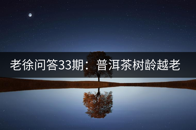 老徐問答33期：普洱茶樹齡越老越貴，那100年樹齡的老班章呢？