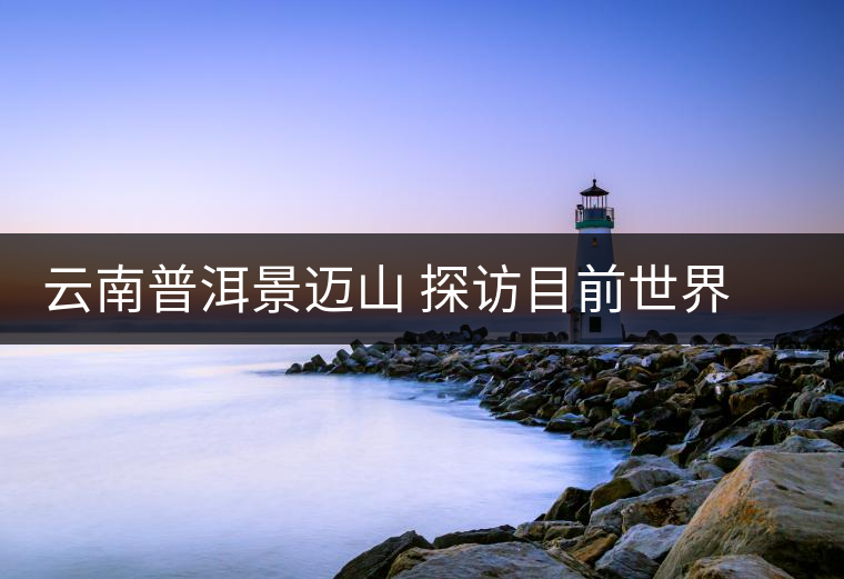 云南普洱景邁山 探訪目前世界上面積最大、年代最久遠(yuǎn)的古茶園