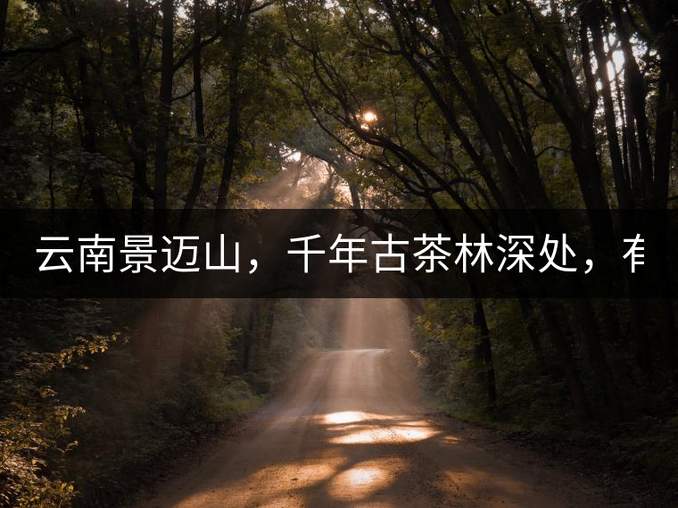 云南景邁山，千年古茶林深處，有一座世外桃源般的糯...云南景邁山，千年古茶林深處，有一座世外桃源般的糯干古寨