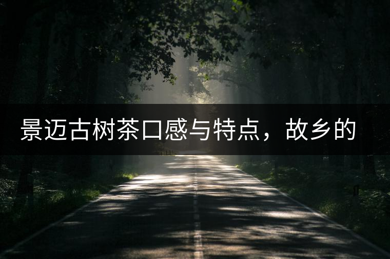 景邁古樹茶口感與特點，故鄉(xiāng)的普洱茶