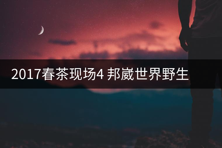 2017春茶現(xiàn)場(chǎng)4 邦崴世界野生過(guò)渡型茶王長(zhǎng)啥樣?之枝丫2017春茶現(xiàn)場(chǎng)4 邦崴世界野生過(guò)渡型茶王長(zhǎng)啥樣？之枝丫