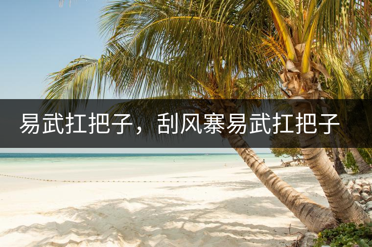 易武扛把子，刮風(fēng)寨易武扛把子，刮風(fēng)寨