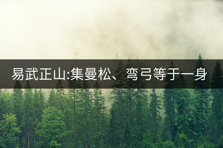 易武正山:集曼松、彎弓等于一身的貴族老黃片，好喝沒(méi)得...易武正山：集曼松、彎弓等于一身的貴族老黃片，好喝沒(méi)得說(shuō)