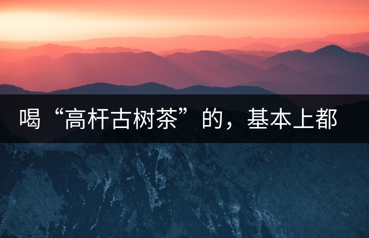 喝“高桿古樹(shù)茶”的，基本上都是不懂茶的