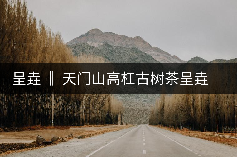 呈垚 ‖ 天門(mén)山高杠古樹(shù)茶呈垚 ‖ 天門(mén)山高杠古樹(shù)茶