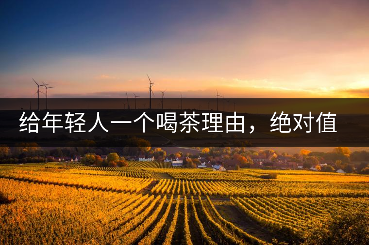 給年輕人一個喝茶理由，絕對值得收藏的茶葉包裝給年輕人一個喝茶理由，絕對值得收藏的茶葉包裝