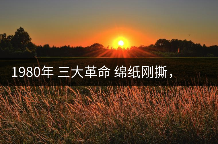 1980年 三大革命 綿紙剛撕，品相極好，整體干凈漂亮1980年 三大革命 綿紙剛撕，品相極好，整體干凈漂亮