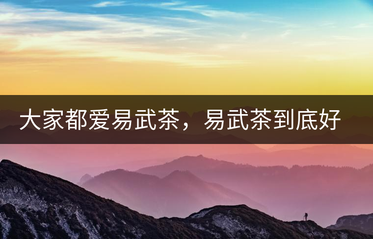 大家都愛易武茶，易武茶到底好在哪兒?大家都愛易武茶，易武茶到底好在哪兒？