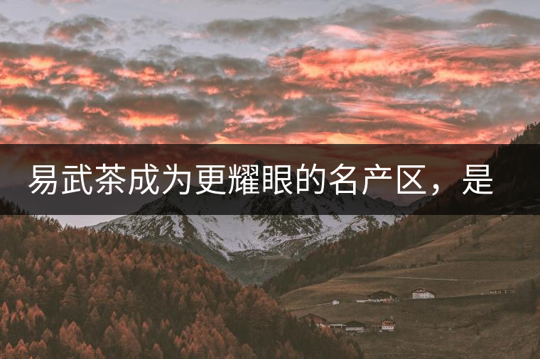 易武茶成為更耀眼的名產(chǎn)區(qū)，是歷史的回歸，是未來市場(chǎng)的必然導(dǎo)向