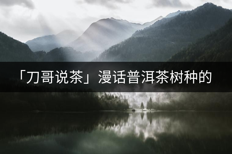 「刀哥說(shuō)茶」漫話普洱茶樹(shù)種的分類(lèi)