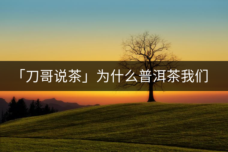 「刀哥說(shuō)茶」為什么普洱茶我們情愿選三無(wú)？