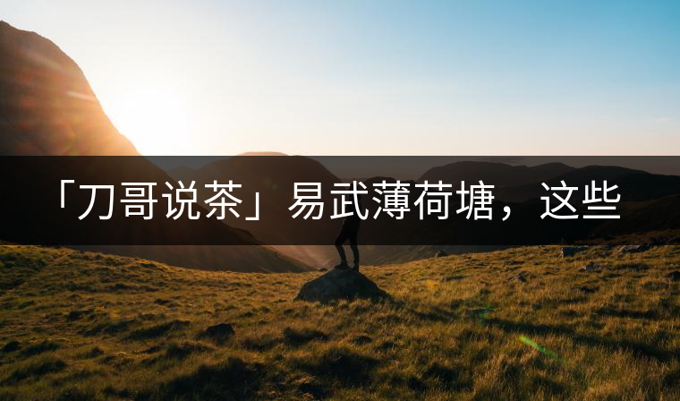 「刀哥說茶」易武薄荷塘，這些冷知識你該知道