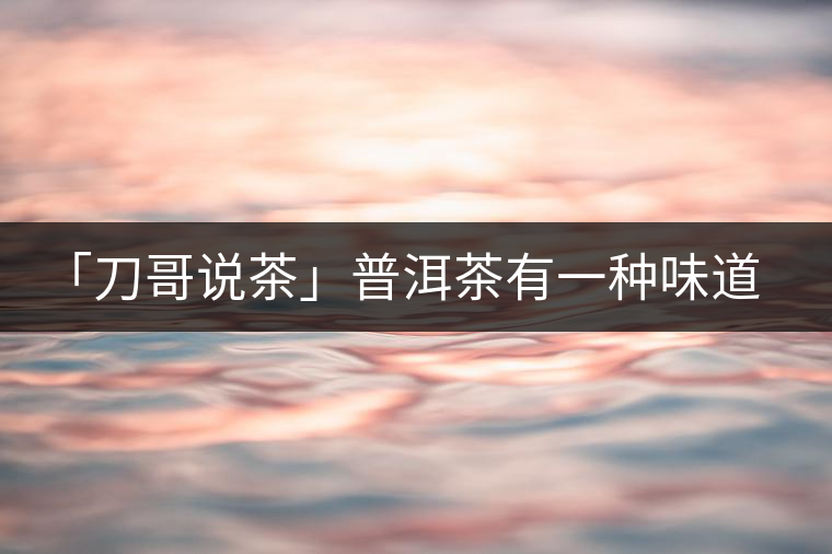 「刀哥說茶」普洱茶有一種味道，只可意會不可言傳