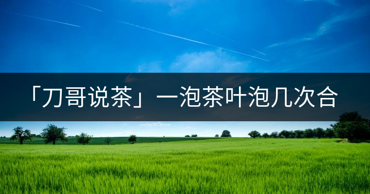 「刀哥說茶」一泡茶葉泡幾次合適?「刀哥說茶」一泡茶葉泡幾次合適？