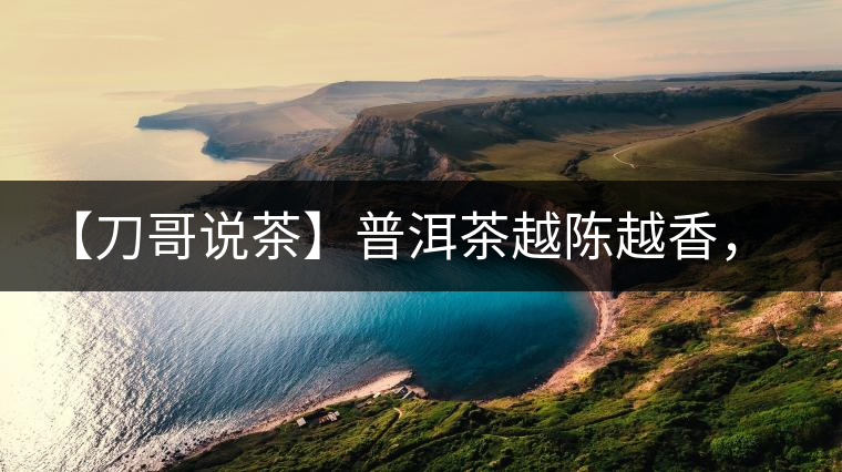 【刀哥說茶】普洱茶越陳越香，為什么新茶更受歡迎？