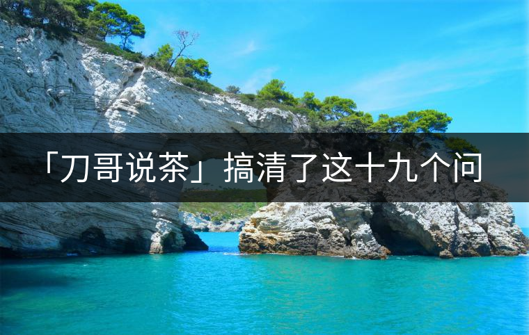 「刀哥說茶」搞清了這十九個問題，您就是熟茶專家