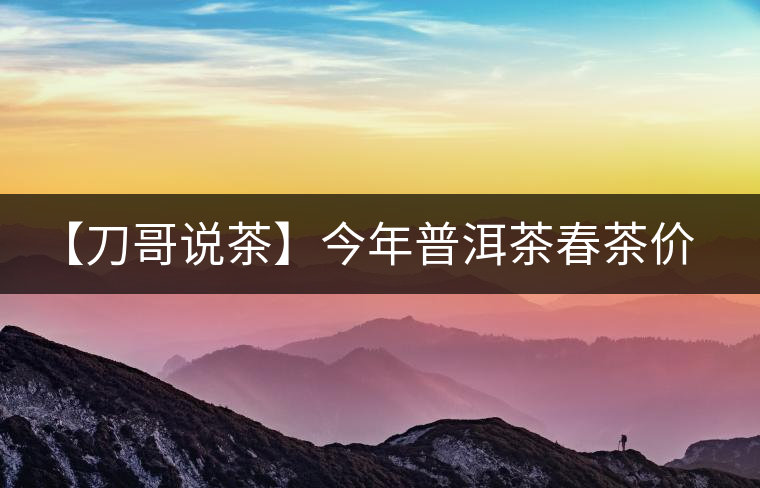 【刀哥說茶】今年普洱茶春茶價(jià)格，我不預(yù)測(cè)