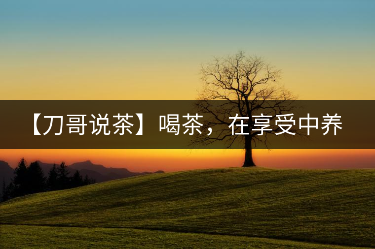 【刀哥說茶】喝茶，在享受中養(yǎng)生的最佳選擇