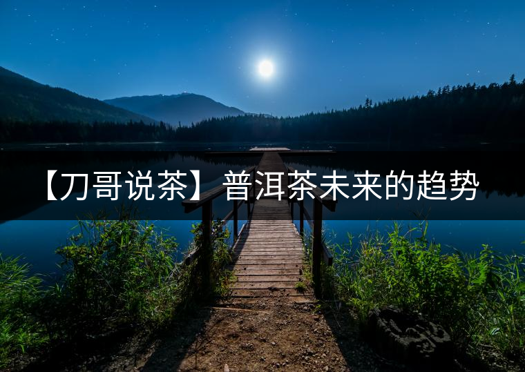 【刀哥說茶】普洱茶未來的趨勢，我看好熟茶