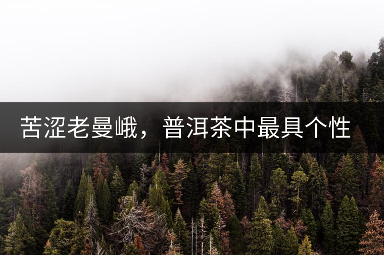 苦澀老曼峨，普洱茶中最具個性的“布朗味”苦澀老曼峨，普洱茶中最具個性的“布朗味”