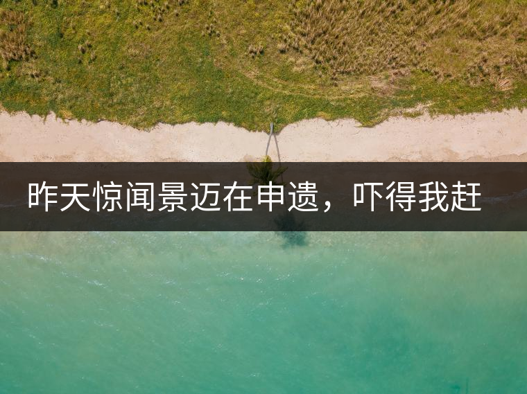 昨天驚聞景邁在申遺，嚇得我趕緊拿出景邁茶……昨天驚聞景邁在申遺，嚇得我趕緊拿出景邁茶……